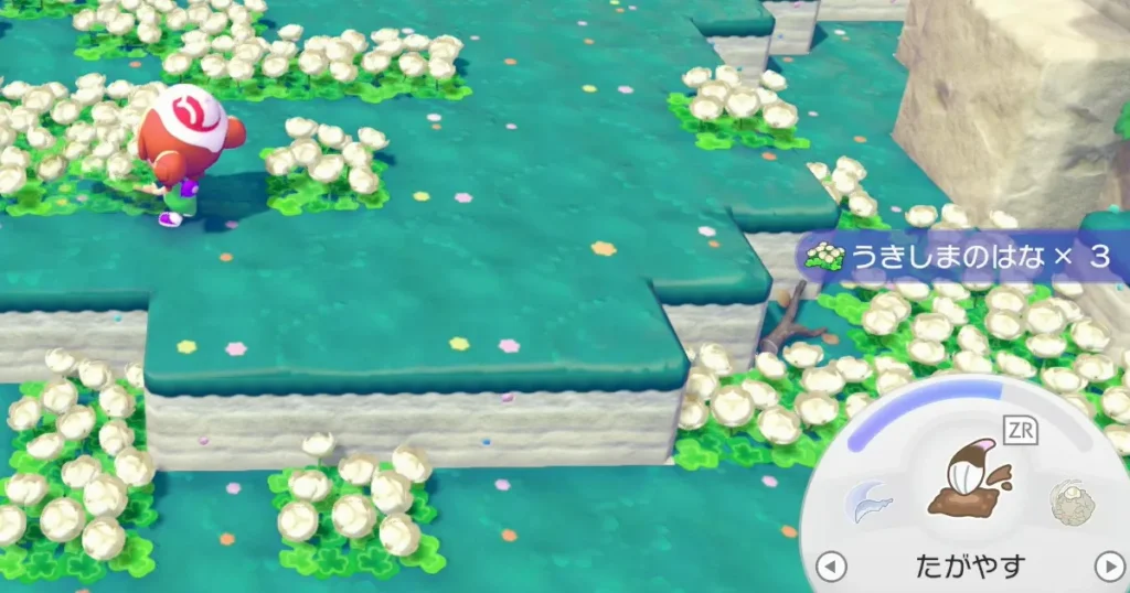 そらのゆめしまで入手できるアイテム例5