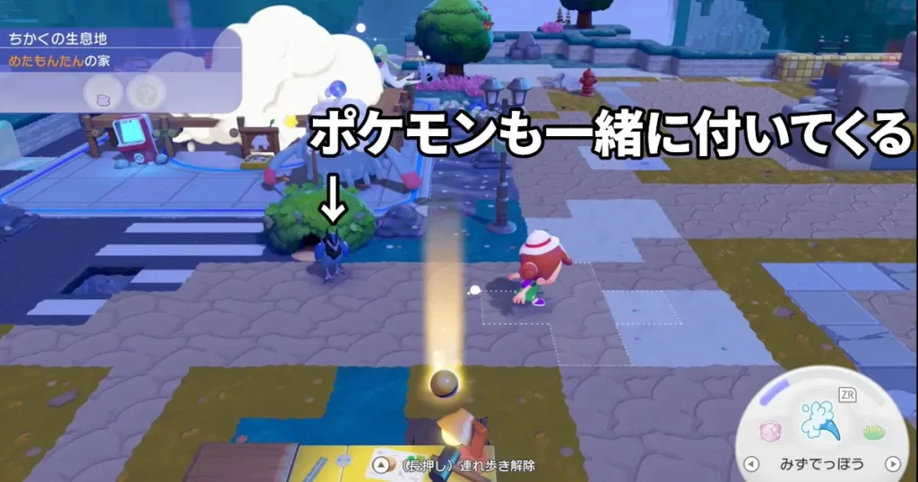 ポケモンも一緒に付いてくる