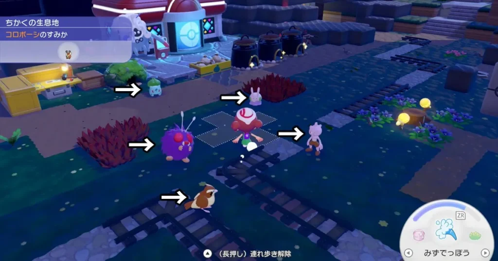 連れ歩いていたポケモンたちを確認