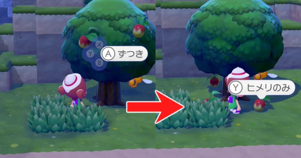 ヒメリのみを入手する