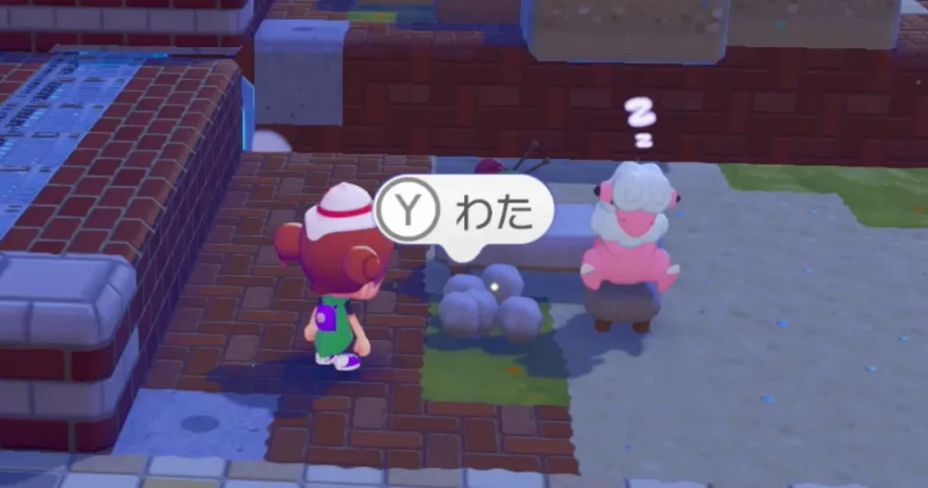 わたの入手例