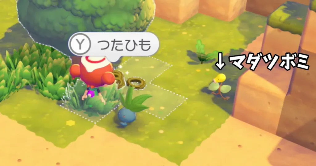 つたひもを入手する