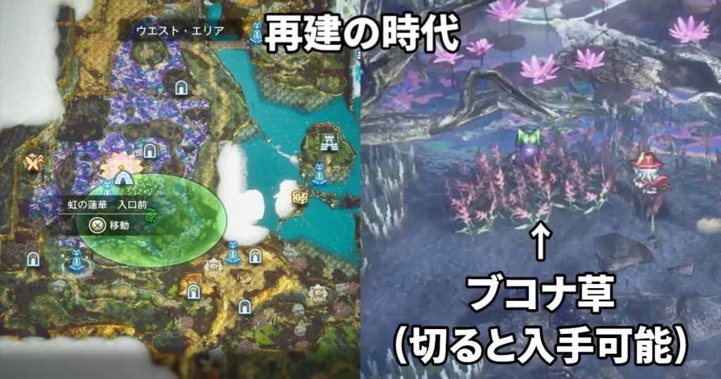 ブコナ草を入手する
