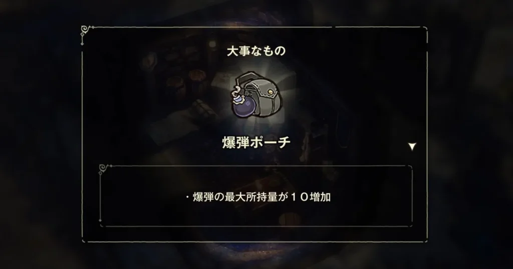 大事なもの:爆弾ポーチ