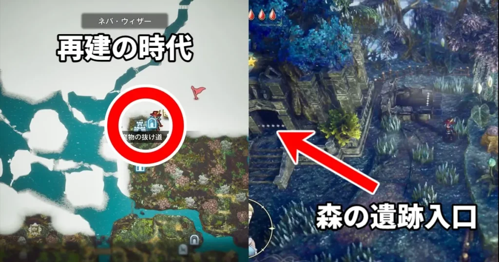 森の遺跡入口