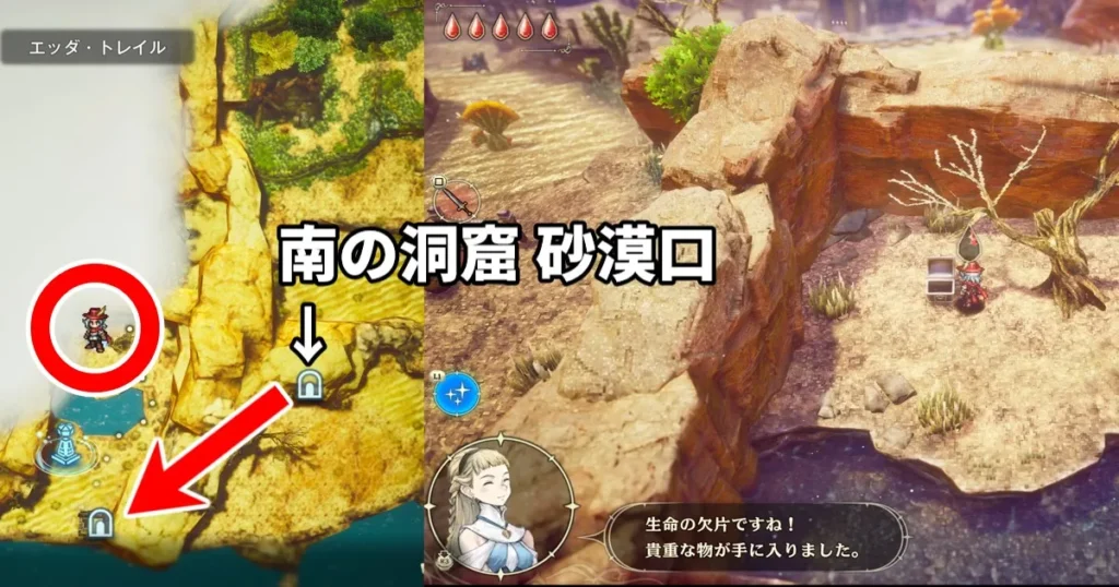 加護の時代の生命の欠片1