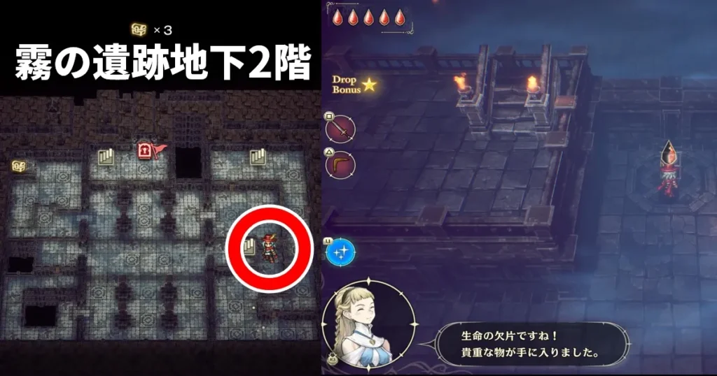 加護の時代の生命の欠片2
