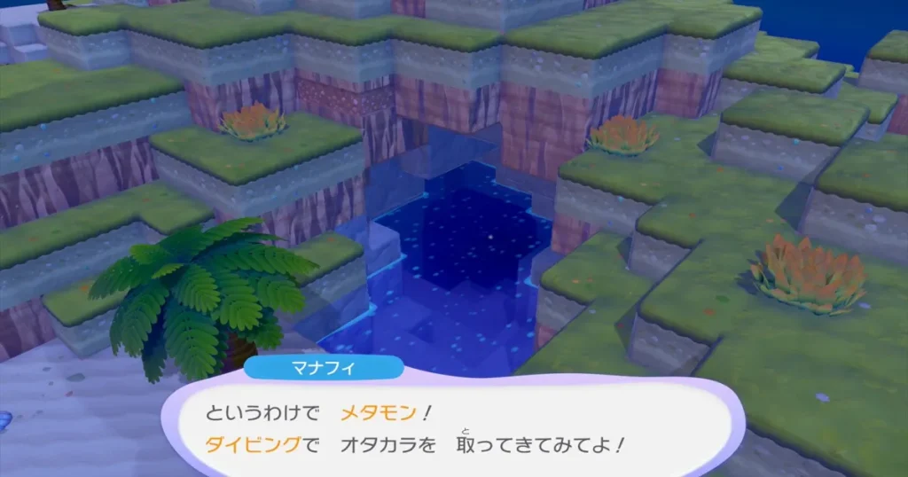 ダイビングで水の中に入る