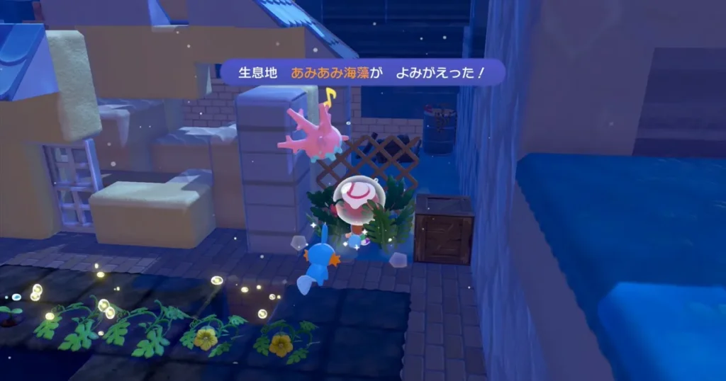 あみあみ海藻をよみがえらせる