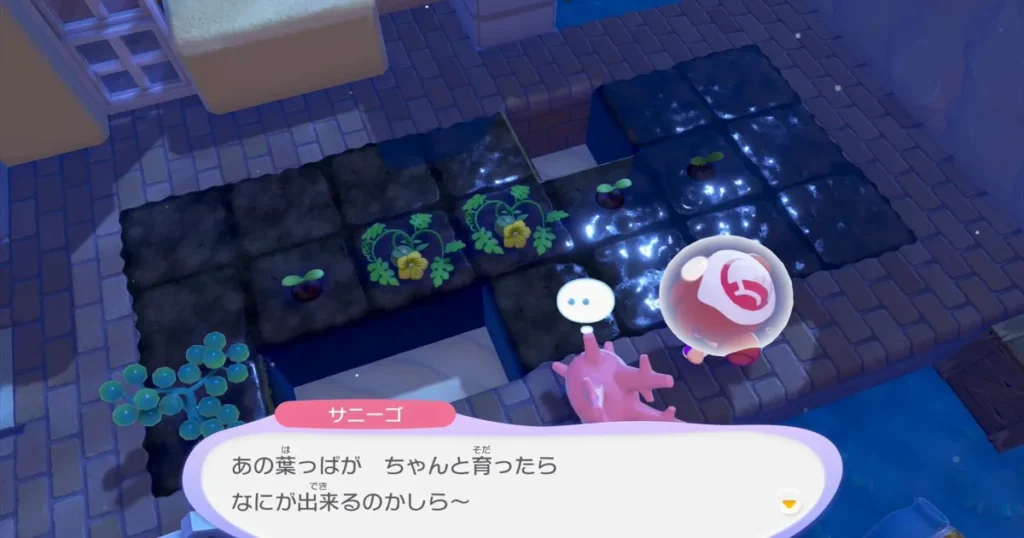 サニーゴに付いていき畑に移動する