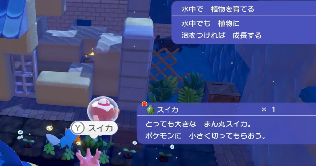 スイカを入手する